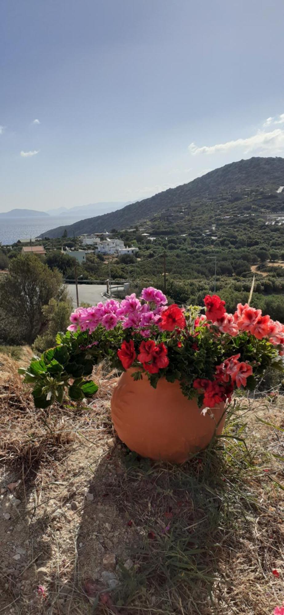 Apartmán Hari Vathi, Agios Nikolaos Crete Vathí