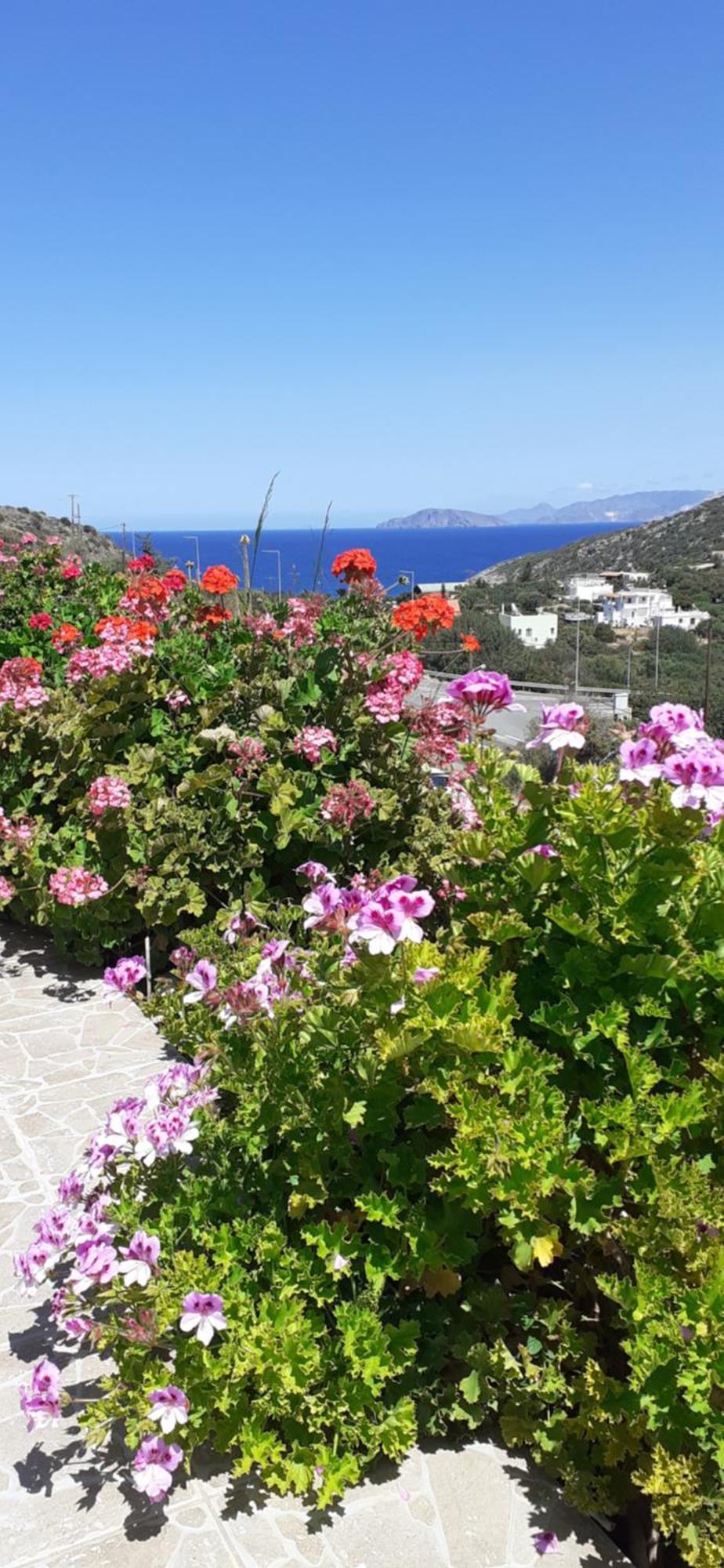 Hari Vathi, Agios Nikolaos Crete Apartment Vathí